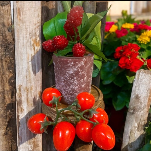 RASPBERRY TOMATO LEAF, SCENT UNLEASHED LUXURY HAND POURED SCENTED CANDLES! - Picture 1 of 2